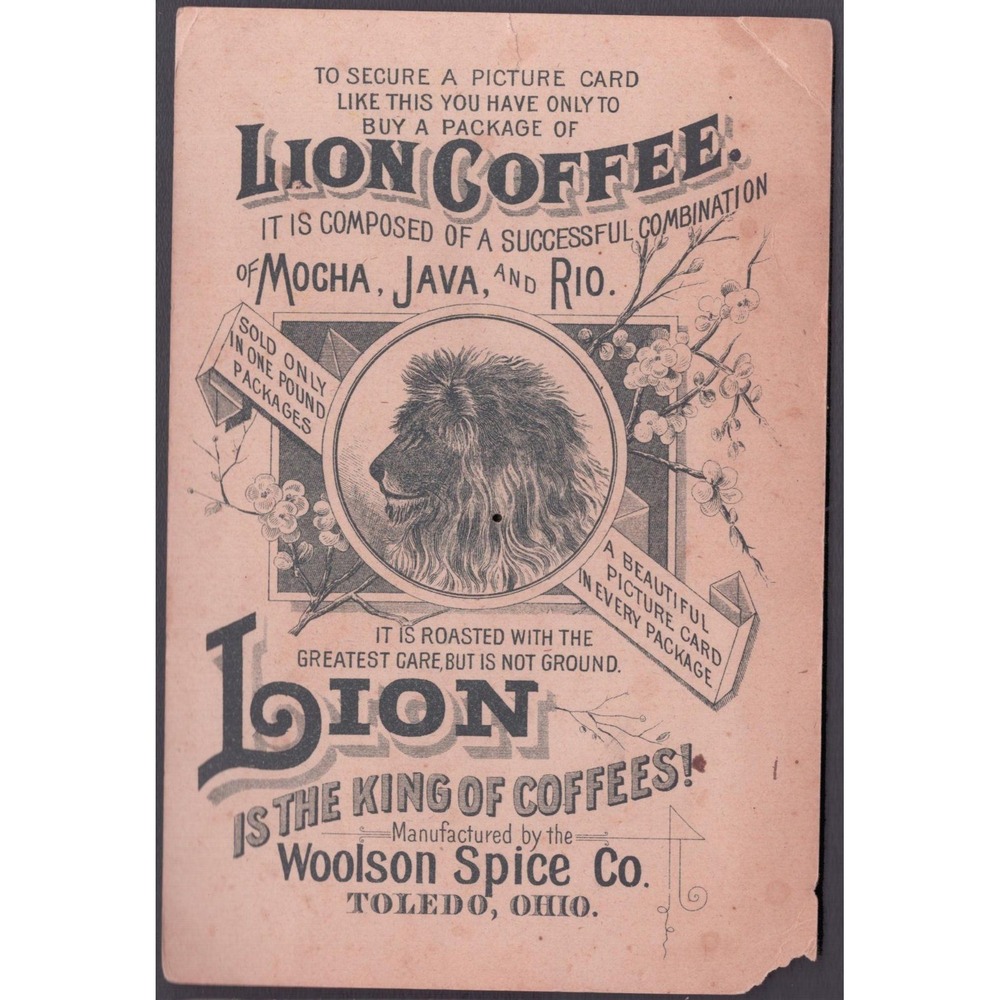 Antique 1880s Victorian Trade Card Toledo OH Lion Coffee Woolson Spice Co